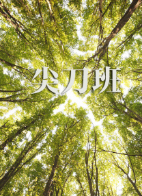 丁香久久婷婷
